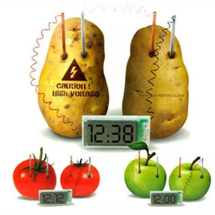 DIY Novel Green Science Potato Digital Clock Educational Kit with 2 inch LCD Screen (Potato NOT Included)