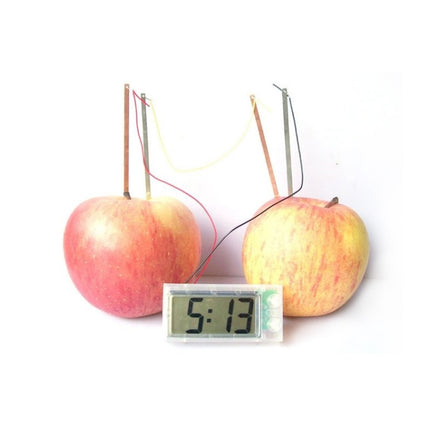 DIY Novel Green Science Potato Digital Clock Educational Kit with 2 inch LCD Screen (Potato NOT Included)