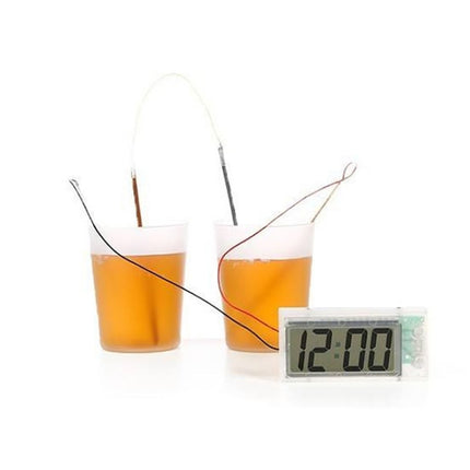 DIY Novel Green Science Potato Digital Clock Educational Kit with 2 inch LCD Screen (Potato NOT Included)
