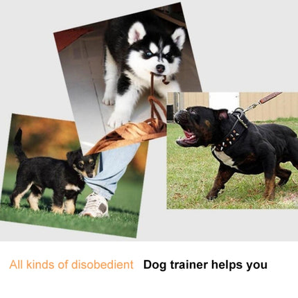 Electric Dog Remote Control Training, White - DealBuddy