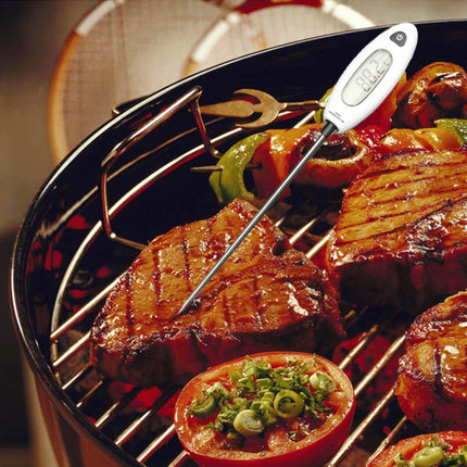 BENETECH GM1311 LCD Display Food Thermometer - DealBuddy