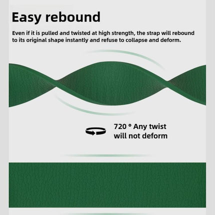 Lychee Pattern Magnetic Loop Silicone Watch Band - DealBuddy