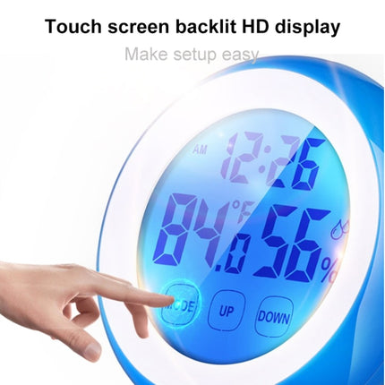 High Precision Indoor Electronic Thermometer - DealBuddy