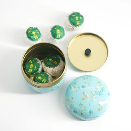 HOOMIN Tea Box Tea Jar Storage Holder Tea Caddies Matcha Container Mini Coffee Powder Organizer Cans Multifunction Round Metal, Moshan blossom