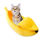 XL / Yellow