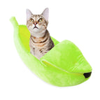 XL / Green