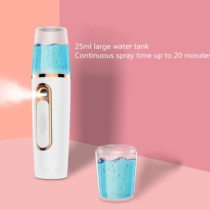 Portable Mini Moisturizing Sprayer Rechargeable Beauty Disinfectant Humidifier Automatic Alcohol Sprayer