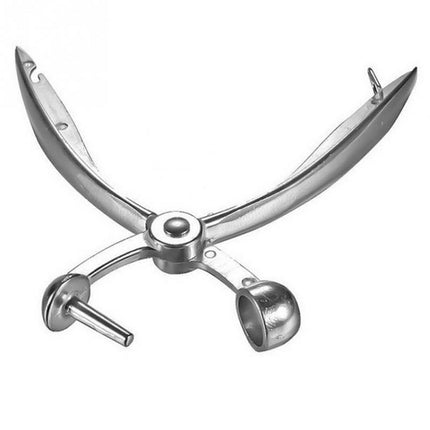 Fruit Stainless Steel Corer Cherry Nucleator