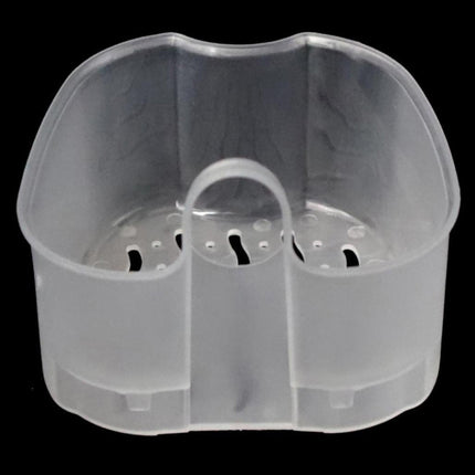 Cleaning Teeth Case Dental False Teeth Storage Box - DealBuddy