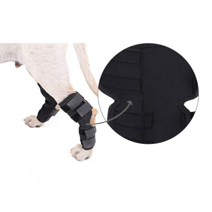 DogLemi PD60041 Dog Hock Brace Pet Supportive Rear Dog Compression Leg Joint Wrap Protects Wounds and Injury, S, M, L, XL - DealBuddy