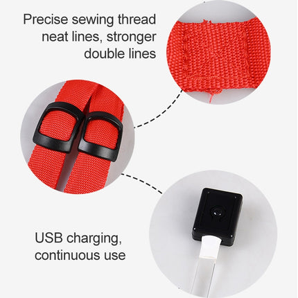 Double Sided LED Light Pet Harness Nylon Cat Dog Chest Strap Leash, S, M - DealBuddy