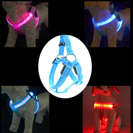 Double Sided LED Light Pet Harness Nylon Cat Dog Chest Strap Leash, S, M - DealBuddy