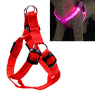Double Sided LED Light Pet Harness Nylon Cat Dog Chest Strap Leash, S, M - DealBuddy
