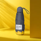 Eight-bone Turmeric / Turmeric