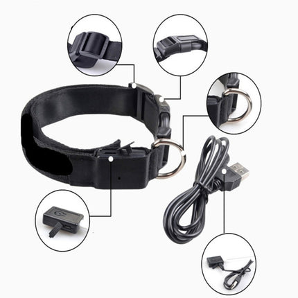 Plaid Pattern Rechargeable LED Glow Light Leads Pet Dog Collar for Small Medium Dogs, L, XL - DealBuddy