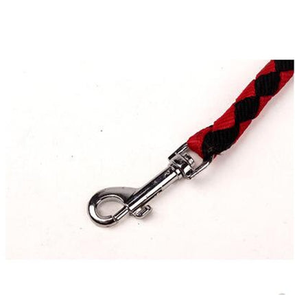Double Dog Leashes Anti-winding Pet Traction Rope, 1.4m - DealBuddy