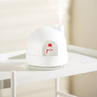 ZAY-H006 Charge / White