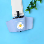(GD Daisy) Blue automatic umbrella