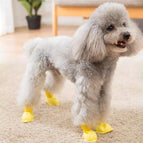 S / Yellow