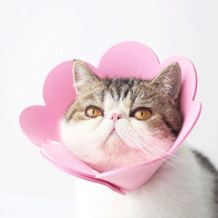 Pet EVA Sponge Lick-proof Sterilization Collar, XS 12-14cm, S 15-21cm - DealBuddy