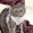 Pet Traction Rope Chest Harness Anti-break Away Vest Type Small Dog Walking Rope, S, M, L - DealBuddy