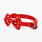 Adjustable Bow Knot Bell Collar Cat Dog Collars Pet Supplies - DealBuddy