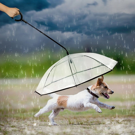 Pet Umbrella Transparent Adjustable Rainy Dog ?Walking Leash, Pet Umbrella - DealBuddy