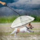 Pet Umbrella Transparent Adjustable Rainy Dog ?Walking Leash, Pet Umbrella - DealBuddy