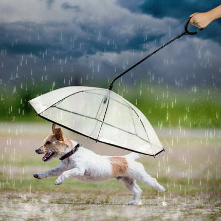 Pet Umbrella Transparent Adjustable Rainy Dog ?Walking Leash, Pet Umbrella - DealBuddy