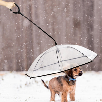 Pet Umbrella Transparent Adjustable Rainy Dog ?Walking Leash, Pet Umbrella - DealBuddy