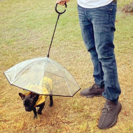 Pet Umbrella Transparent Adjustable Rainy Dog ?Walking Leash, Pet Umbrella - DealBuddy
