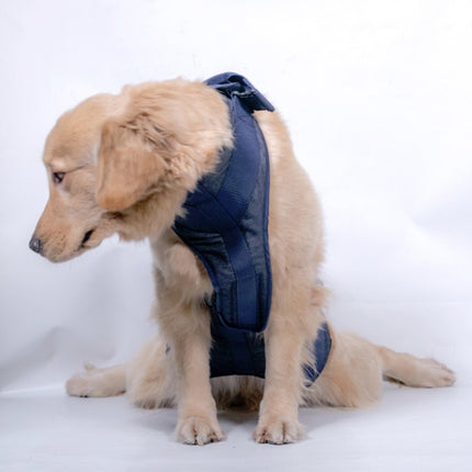 Pet Leash Senior Dogs Walking Aids Chest Harness, XS, S, M, L, XL - DealBuddy