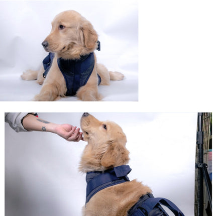 Pet Leash Senior Dogs Walking Aids Chest Harness, XS, S, M, L, XL - DealBuddy