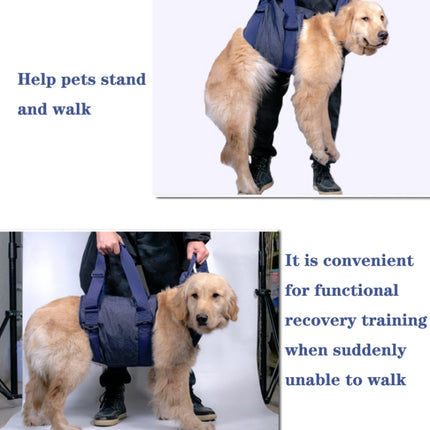 Pet Leash Senior Dogs Walking Aids Chest Harness, XS, S, M, L, XL - DealBuddy