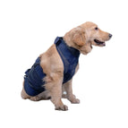M / Dark Blue