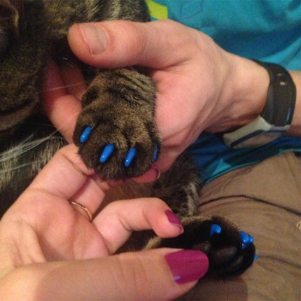 20 PCS Silicone Soft Cat Nail Caps / Cat Paw Claw / Pet Nail Protector/Cat Nail Cover, XS, S, L - DealBuddy