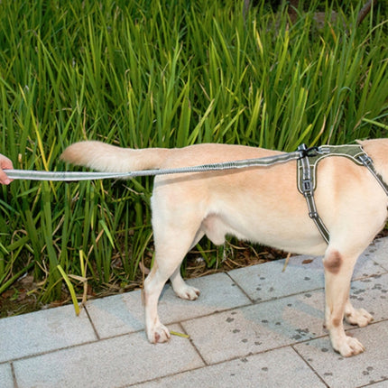 Dog Outdoor Anti-Scourge Traction Rope Nylon Reflective Elastic Stretch Dog Walking Rope, Elastic Stretch Yellow, Elastic Stretch Green - DealBuddy