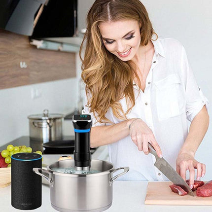 Low Temperature Slow Cooker Thawed Vacuum Steak Machine, UK Plug, US Plug, EU Plug - DealBuddy