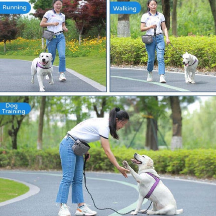 MOVEPEAK Pet Snack Bag Leash Pet Training Waist Bag Outing Dog Snack Bag - DealBuddy