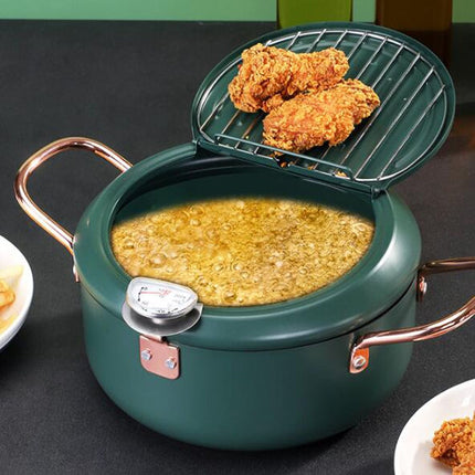 Fryer Pot Household Non-Stick Pan Temperature Control Mini Frying Pot, 20cm - DealBuddy