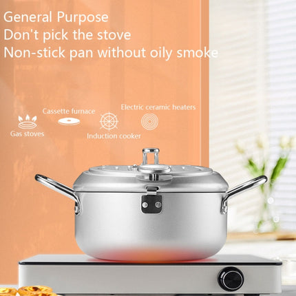 Fryer Pot Household Non-Stick Pan Temperature Control Mini Frying Pot, 20cm - DealBuddy