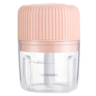 Household Vegetable Cutting Electric USB Garlic Masher Baby Mini Cooking Machine Baby Food Supplement Machine, 250ml, 100ml + 250ml, 100ml - DealBuddy