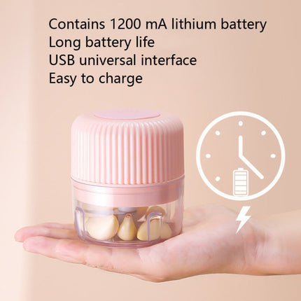 Household Vegetable Cutting Electric USB Garlic Masher Baby Mini Cooking Machine Baby Food Supplement Machine, 250ml, 100ml + 250ml, 100ml - DealBuddy