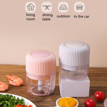 Household Vegetable Cutting Electric USB Garlic Masher Baby Mini Cooking Machine Baby Food Supplement Machine, 250ml, 100ml + 250ml, 100ml - DealBuddy