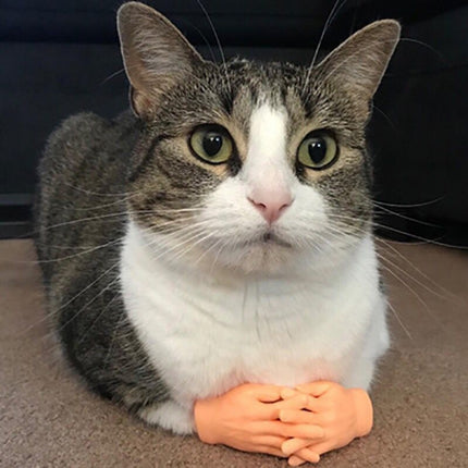 Pet Massage Finger Cots and Cat Gloves, Massage Finger - DealBuddy