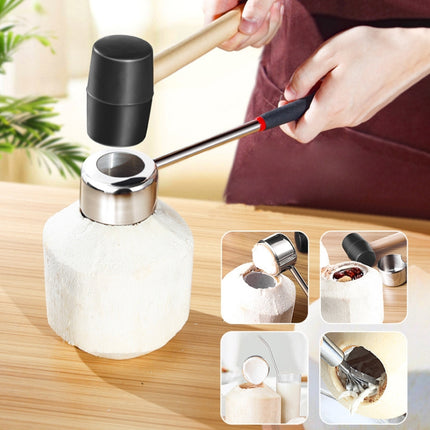 304 Stainless Steel Coconut Opener Tool Coconut Shell Shaving Tool Set, 2 in 1 Coconut Opener - DealBuddy