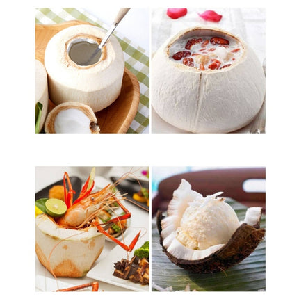 304 Stainless Steel Coconut Opener Tool Coconut Shell Shaving Tool Set, 2 in 1 Coconut Opener - DealBuddy