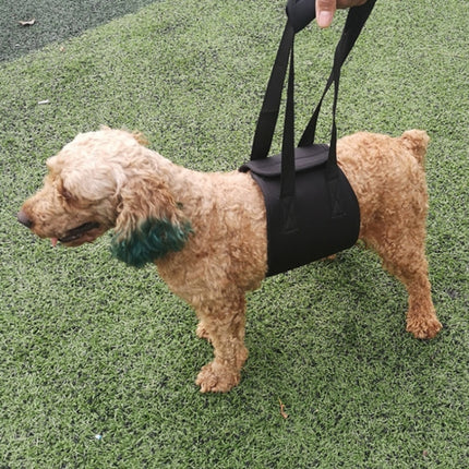 HCPET F1905 Disabled Dogs Assistive Belts Elderly Dogs Walking Assisted Leashes Pet Supplies, S, M, L - DealBuddy