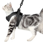 Cat Leash Pet Chest Harness Leash, S - DealBuddy
