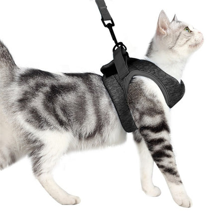 Cat Leash Pet Chest Harness Leash, S - DealBuddy